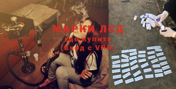 ешки Аркадак