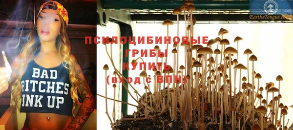 шишки Армянск