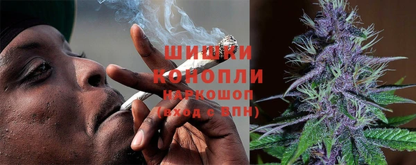 шишки Армянск