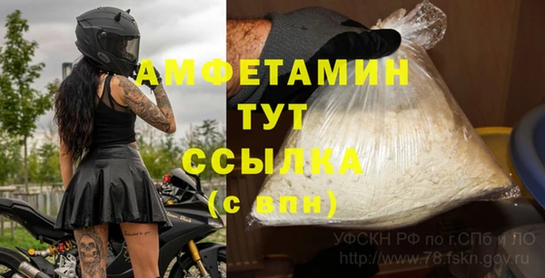 шишки Армянск