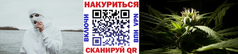 Шишки марихуана гибрид  даркнет сайт  Аша 